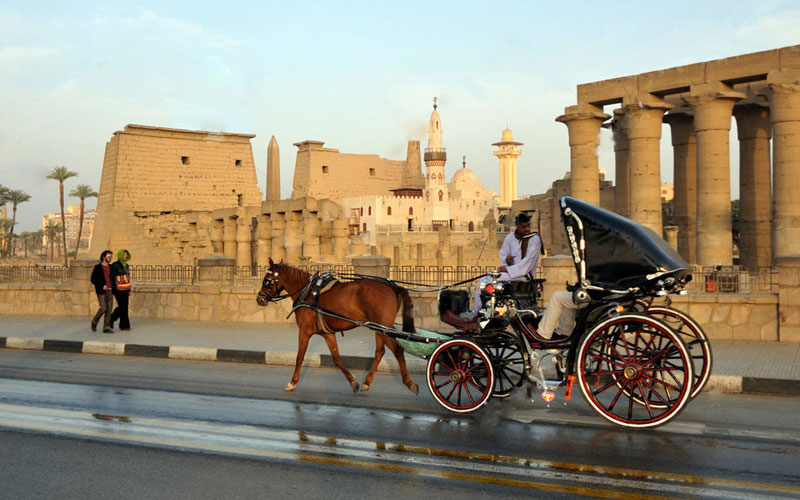luxor-city-tour-by-horse-drawn-carriage-gal-1