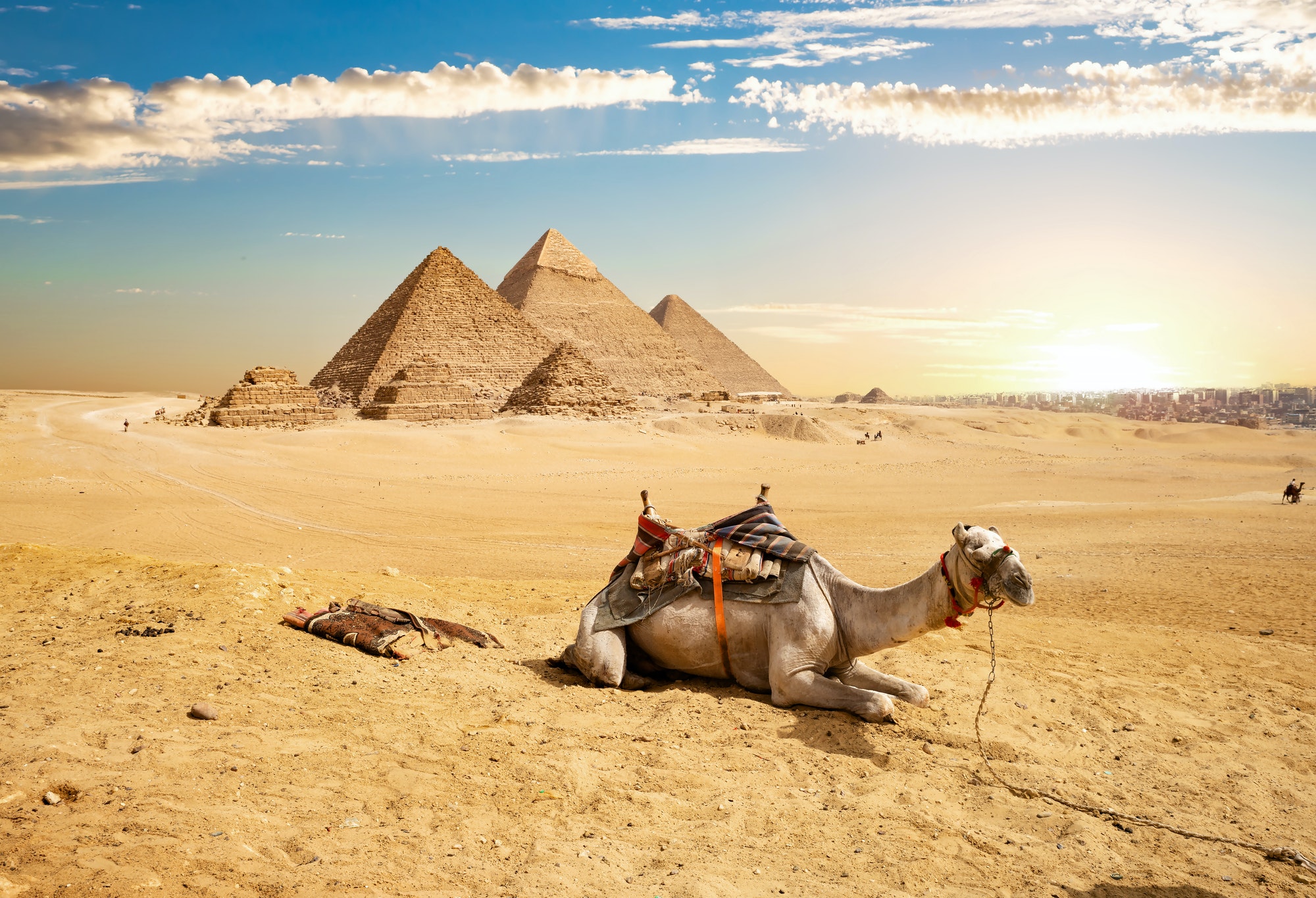 camel-and-pyramids