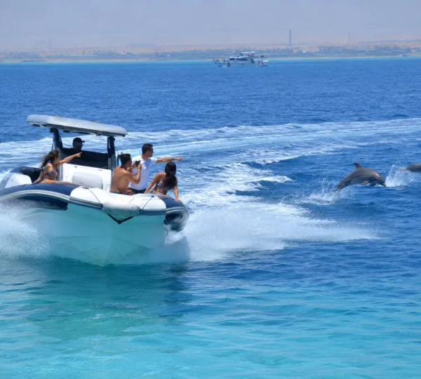 Private Speed Boat Hurghada (3)