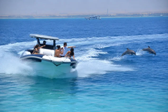 Private Speed Boat Hurghada (3)